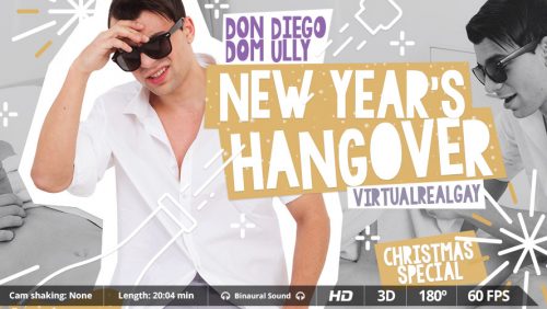 New Year’s Hangover – VirtualRealGay